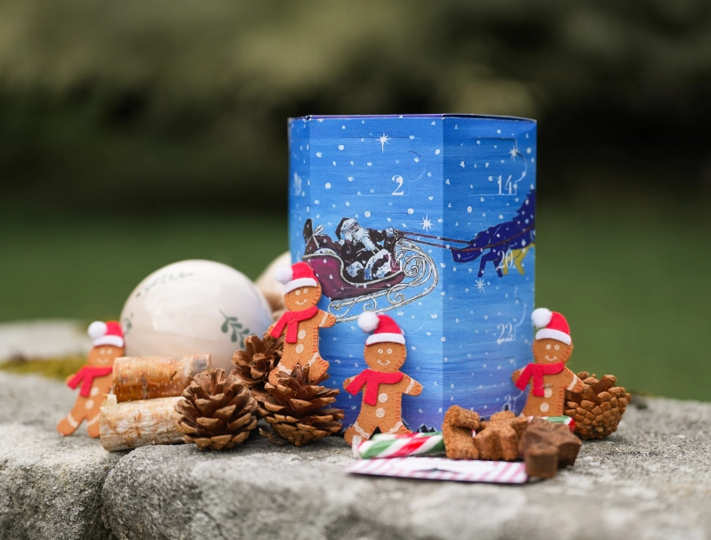 EquiPacs Advent